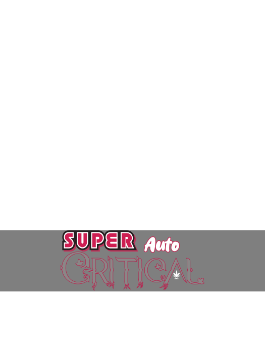 Super Critical Auto
